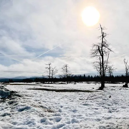 Apartment Staycozy Bike&ski Apartments, Barrierefrei, Free Wifi, Erdgeschoss Winterberg