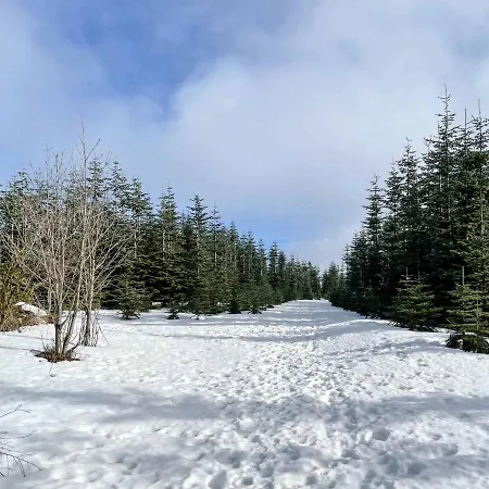 Staycozy Bike&ski Apartments, Barrierefrei, Free Wifi, Erdgeschoss Apartment *