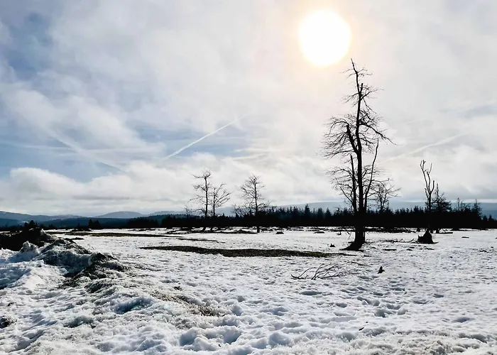 Daire Staycozy Bike&ski Apartments, Eigener Fahrrad- Und Skikeller, Barrierefrei, Erdgeschoss Winterberg