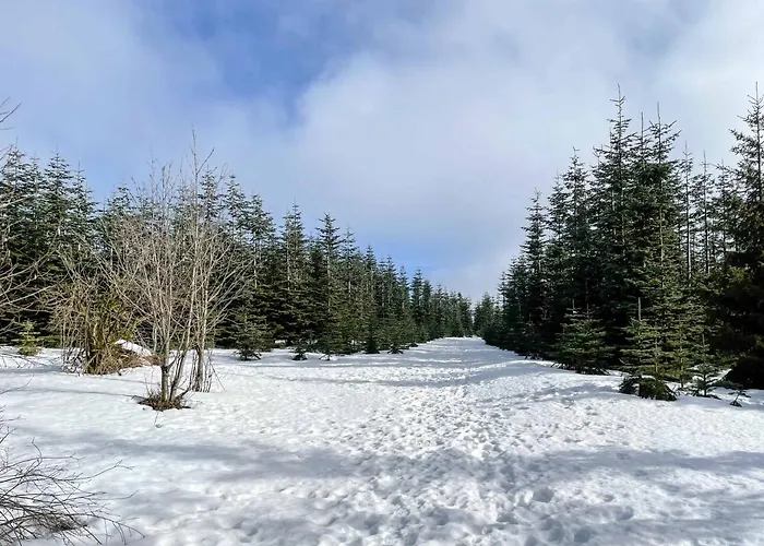 Staycozy Bike&ski Apartments, Eigener Fahrrad- Und Skikeller, Barrierefrei, Erdgeschoss Apartment *